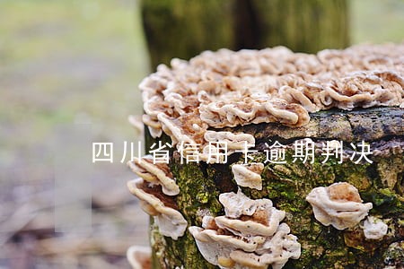 四川省信用卡逾期判决 四川省信用卡逾期判决