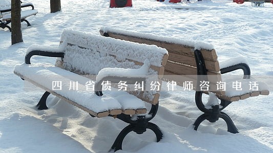 四川省债务纠纷律师咨询电话 四川省债务纠纷律师咨询电话