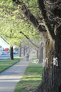 四川省关于规范流动摊贩的法规 四川省关于规范流动摊贩的法规