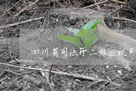 四川省司法厅二级巡视员 四川省司法厅二级巡视员