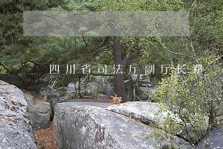 四川省司法厅副厅长郑 四川省司法厅副厅长郑