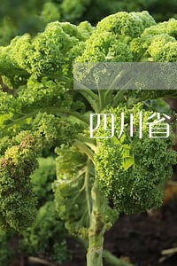 四川省司法行政戒毒招聘 四川省司法行政戒毒招聘