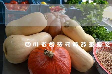 四川省司法行政改革意见 四川省司法行政改革意见