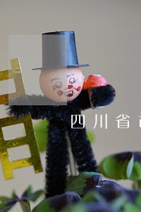 四川省市交通违法查询 四川省市交通违法查询