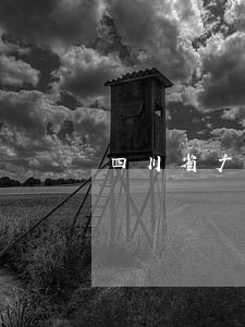 四川省广元市苍溪县离婚新规 四川省广元市苍溪县离婚新规