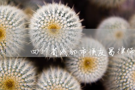 四川省成都市侯友昌律师 四川省成都市侯友昌律师