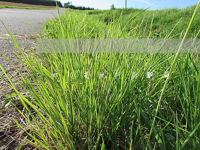 四川省执行局副局