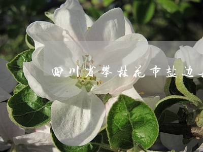 四川省攀枝花市盐边县律师 四川省攀枝花市盐边县律师