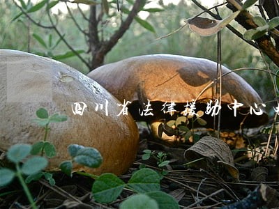 四川省法律援助中心电话 四川省法律援助中心电话