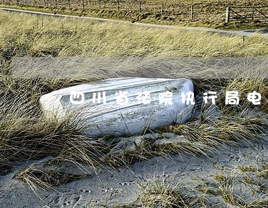 四川省法院执行局电话号码 四川省法院执行局电话号码