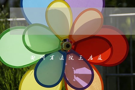 四川省法院王启庭