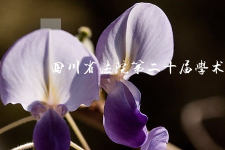 四川省法院第二十届学术讨论会 四川省法院第二十届学术讨论会