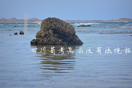 四川省考怎么没有法院招 四川省考怎么没有法院招