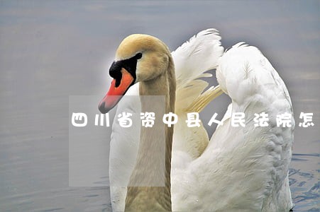 四川省资中县人民法院怎么样 四川省资中县人民法院怎么样