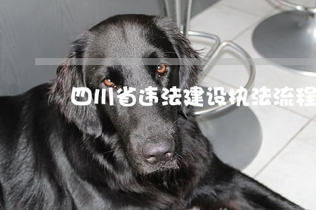 四川省违法建设执法流程 四川省违法建设执法流程