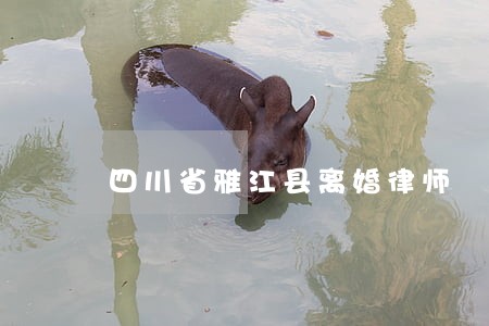 四川省雅江县离婚律师 四川省雅江县离婚律师