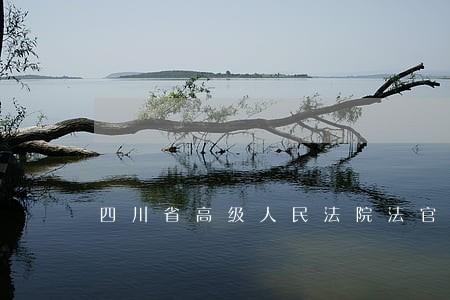四川省高级人民法院法官助理 四川省高级人民法院法官助理