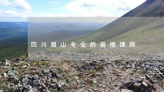 四川眉山专业的离婚律师 四川眉山专业的离婚律师