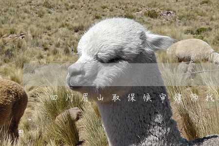 四川眉山取保候审律师找谁 四川眉山取保候审律师找谁