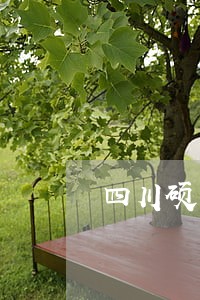四川硕川法律咨询有限公司 四川硕川法律咨询有限公司