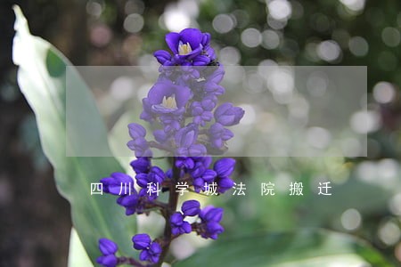 四川科学城法院搬迁