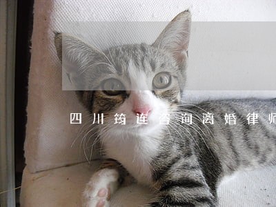 四川筠连咨询离婚律师 四川筠连咨询离婚律师