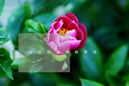 四川筠连婚姻律师 四川筠连婚姻律师