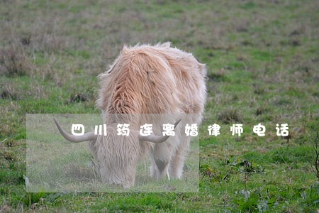 四川筠连离婚律师电话