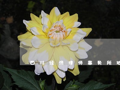 四川经济律师事务所地址 四川经济律师事务所地址