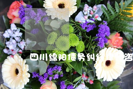 四川绵阳债务纠纷律师咨询免费