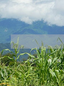 四川绵阳律师债务咨询免费 四川绵阳律师债务咨询免费