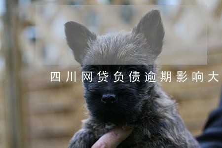 四川网贷负债逾期影响大吗 四川网贷负债逾期影响大吗