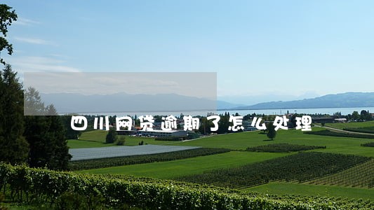 四川网贷逾期了怎么处理 四川网贷逾期了怎么处理