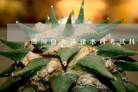 四川自考法律本科考试科目有哪些 四川自考法律本科考试科目有哪些