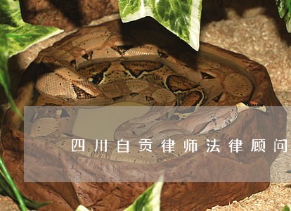 四川自贡律师法律顾问 四川自贡律师法律顾问