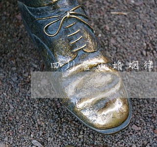 四川营山婚姻律师 四川营山婚姻律师