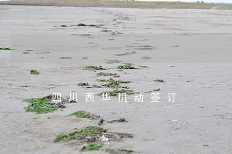 四川西华机动签订 四川西华机动签订