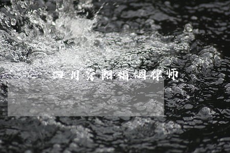 四川资阳婚姻律师 四川资阳婚姻律师