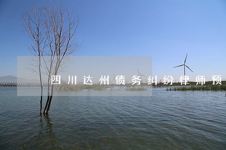 四川达州债务纠纷律师预约电话 四川达州债务纠纷律师预约电话