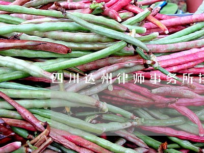 四川达州律师事务所排名 四川达州律师事务所排名
