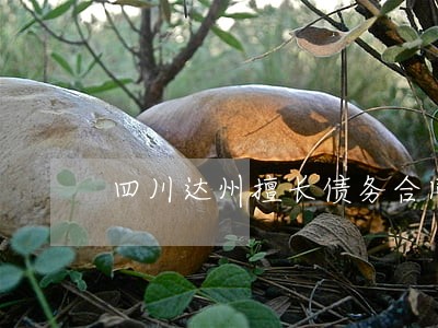 四川达州擅长债务合同律师 四川达州擅长债务合同律师