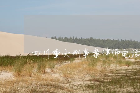 四川重大刑事案律师电话咨询 四川重大刑事案律师电话咨询