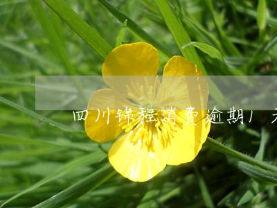 四川锦程消费逾期1天 四川锦程消费逾期1天