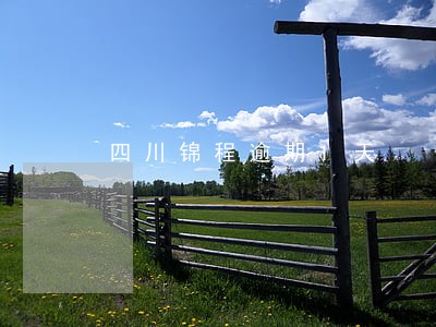 四川锦程逾期1天 四川锦程逾期1天