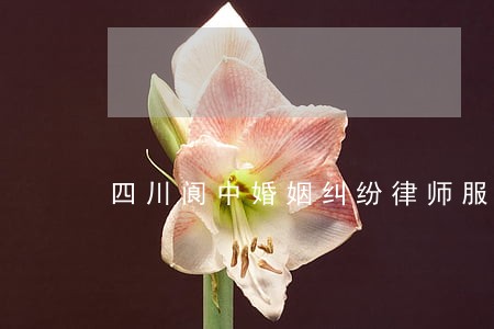 四川阆中婚姻纠纷律师服务 四川阆中婚姻纠纷律师服务