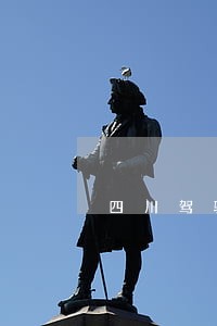 四川驾驶人违法信息查询 四川驾驶人违法信息查询
