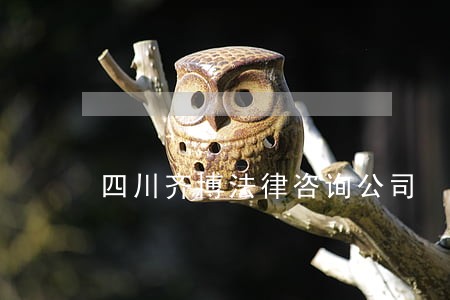 四川齐博法律咨询公司 四川齐博法律咨询公司