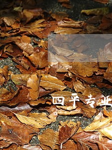 四平专业经济纠纷律师 四平专业经济纠纷律师