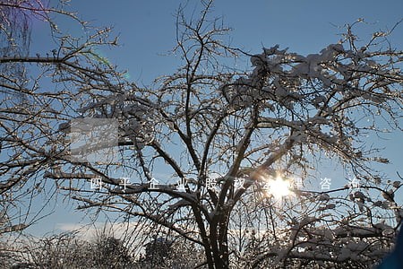四平企业股权法律咨询 四平企业股权法律咨询