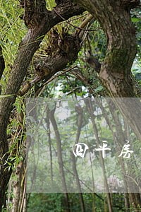四平房地产纠纷律师推荐 四平房地产纠纷律师推荐